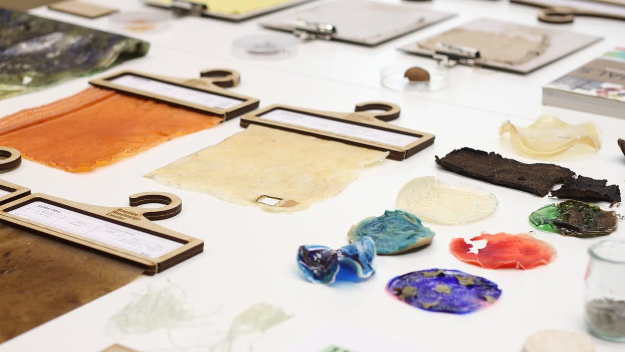imagen de portada de Los 10 materiales clave en moda sostenible